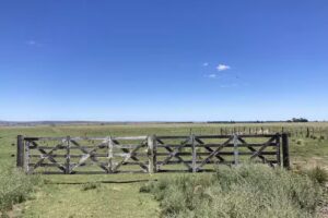 Acceso Francisco Paz