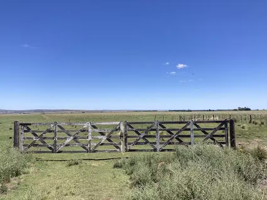 Acceso Francisco Paz