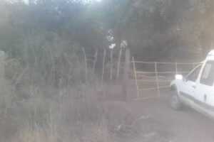 Agroecología Los Cactus