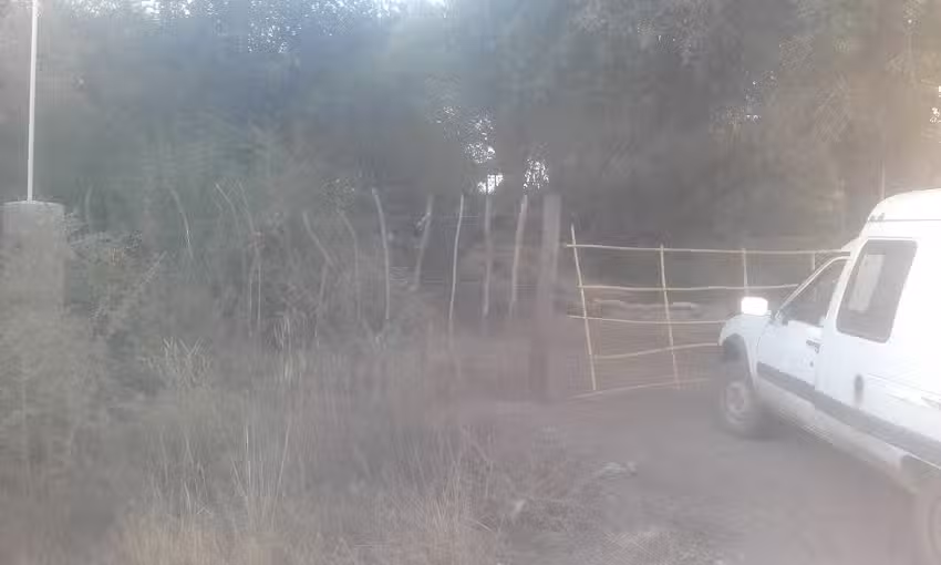 Agroecolog&iacute;a Los Cactus