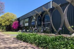 Amigos del Bellas Artes