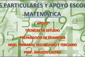 Ángeles Particular de Matemática