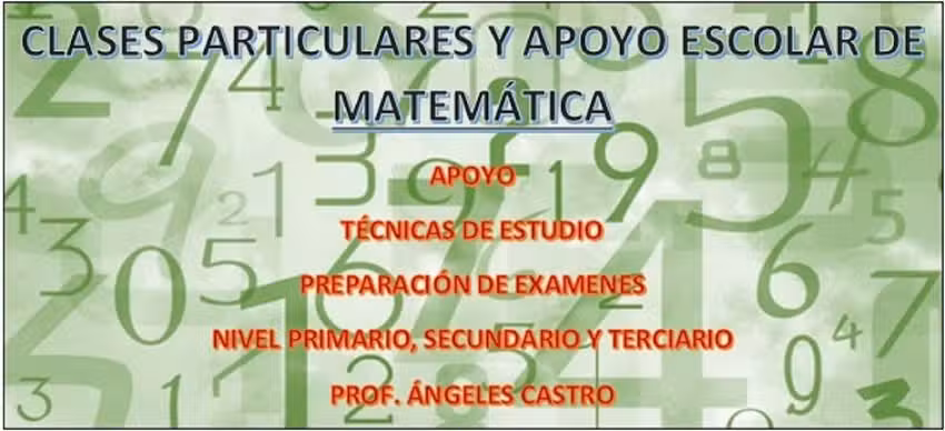 &Aacute;ngeles Particular de Matem&aacute;tica
