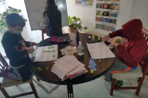 APOYO Escolar _en linea