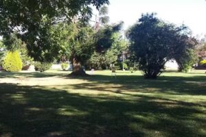 Asociación Cristiana de Jóvenes