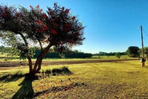 Bachillerato Orientado Provincial N&deg; 83