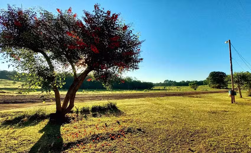 Bachillerato Orientado Provincial N&deg; 83