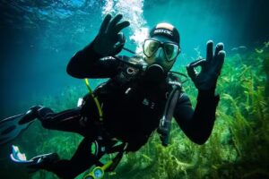 BUCEO VLA | Buceos en Bosque Sumergido y Villa La Angostura | Todos los días