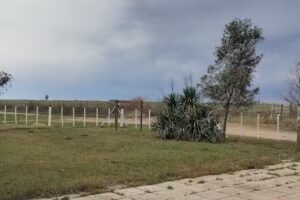 C.E Coronel L. Nelson &ldquo;La Margarita&rdquo;