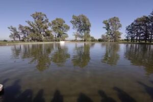 Campo Escuela Facultad de Ciencias Agropecuarias – UNC