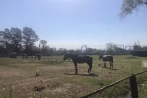 Campo Hipico y de Pato Barracas al Sur