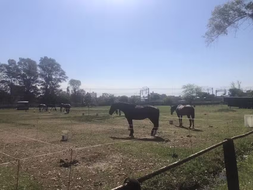Campo Hipico y de Pato Barracas al Sur