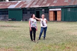 Campus de Nuestra Señora. Nuestra Señora de Las Nieves