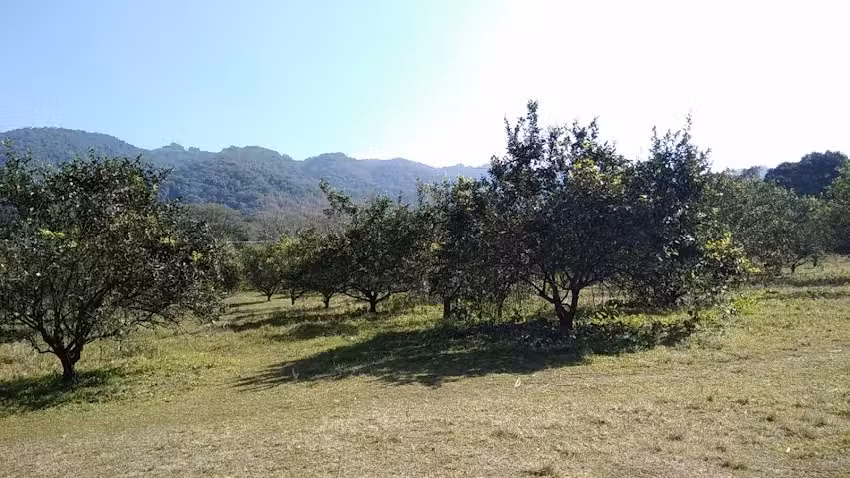 Centro de Investigaci&oacute;n de Monitoreo de la Salud de las Abejas