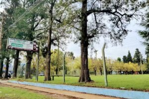 Centro Educativo Siglo 21