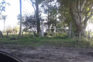 Centro Tecnologico Comunitario Esc Secund Nro 22 Felipe Vare