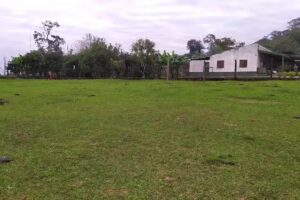 Colegio 5212 Sede Madrejones