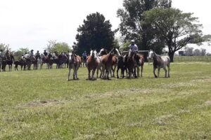 Colegio Agrotecnico “El Tejado”