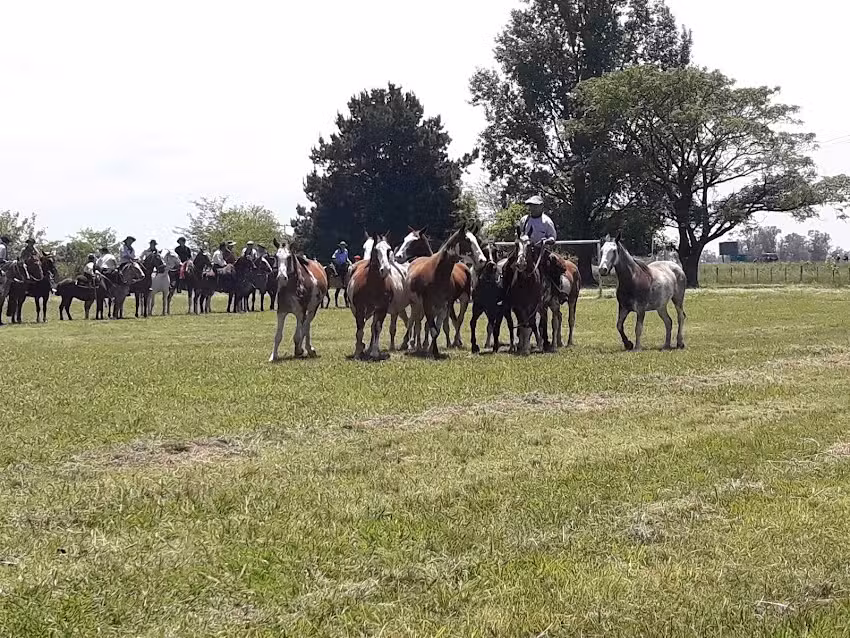 Colegio Agrotecnico &ldquo;El Tejado&rdquo;