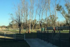 Colegio Andersen Pacheco