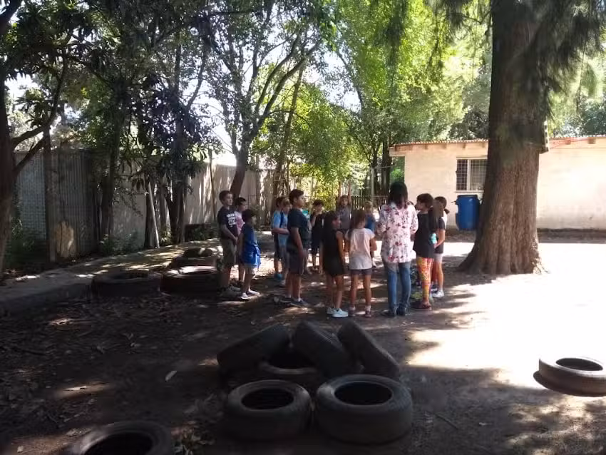 Colegio &Aacute;rbol del Norte