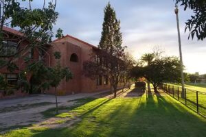 Colegio Biling&uuml;e Los Olivos