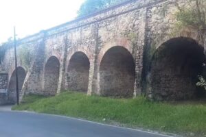 Colegio Dandelion Secundario