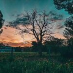 Colegio &ldquo;La Asunci&oacute;n&rdquo;