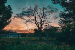 Colegio &ldquo;La Asunci&oacute;n&rdquo;