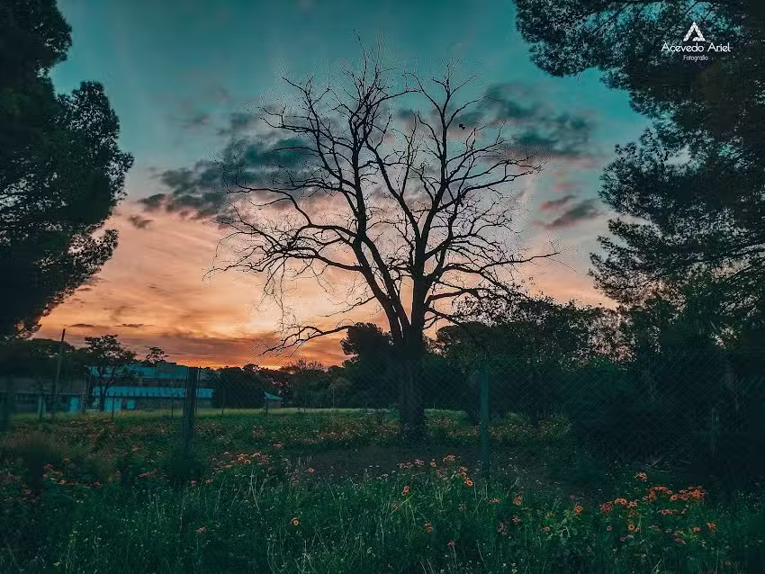 Colegio &ldquo;La Asunci&oacute;n&rdquo;
