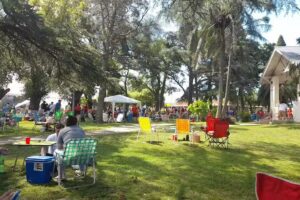 Colegio los Aromos de San Javier