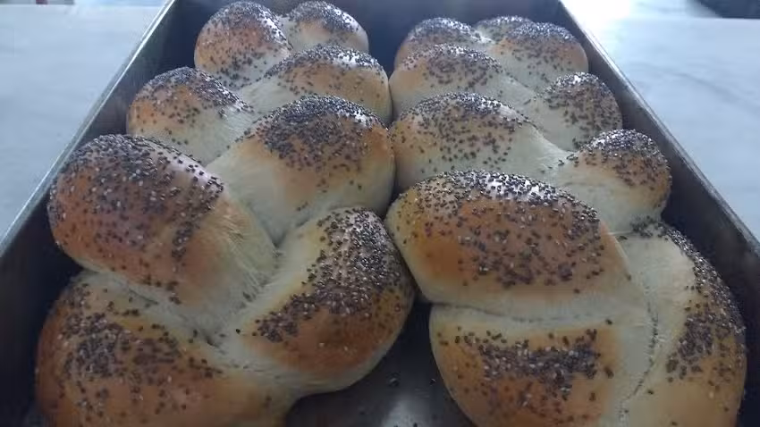 Colegio Mama Margarita Ip-11