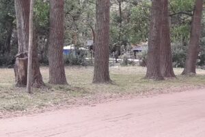 Colegio Modelo Santa Teresita