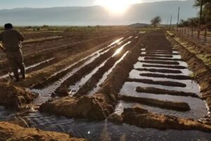 Colegio Nacional Agrotecnico &ldquo;Ing. Julio Cesar Mart&iacute;nez&rdquo;