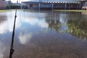 Colegio Nuestra Se&ntilde;ora De Lourdes