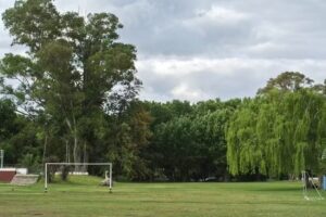 Colegio Nuestras Raices