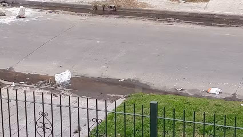 Colegio Primario San Alberto Magno