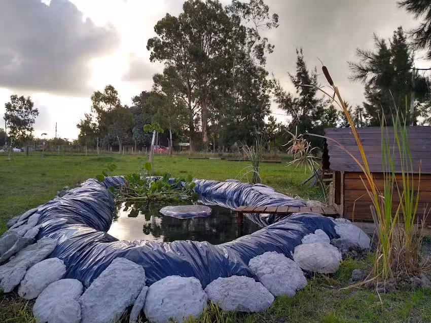 Colegio San Francisco