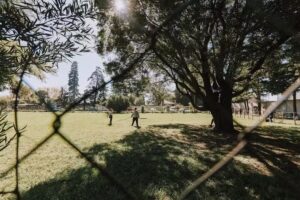 Colegio San Francisco