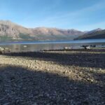 Colegio San Patricio