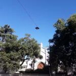 Colegio San Patricio