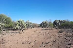 Colegio Secundario Rural 5212 Sede Santa Teresa