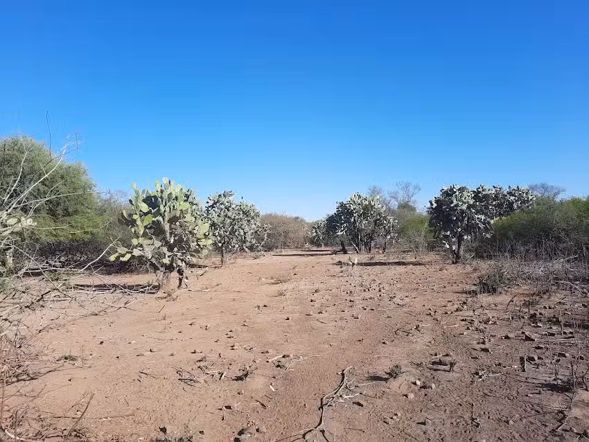 Colegio Secundario Rural 5212 Sede Santa Teresa