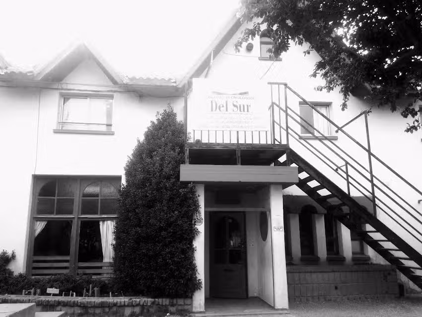 Colegio Tecnol&oacute;gico Del Sur