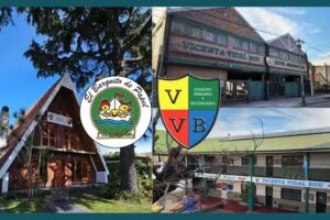 Colegio Vicenta Vidal Bou Nivel Primario
