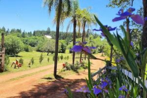 Complejo Agro Educativo IEA N&deg; 13