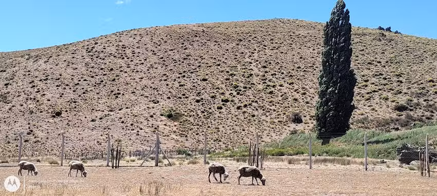 CPEM N&ordm; 86 Costa de Malleo