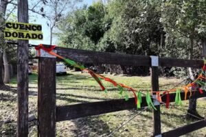 Cuenco Dorado &ndash; Espacio Educativo Integral &ndash; Ibarlucea
