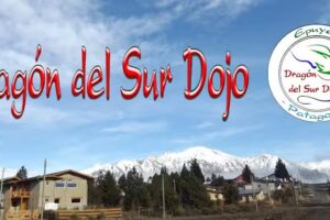 Dragón del Sur Dojo – Aikido / Karatedo / Judo / Defensa – Artes marciales y Actividades