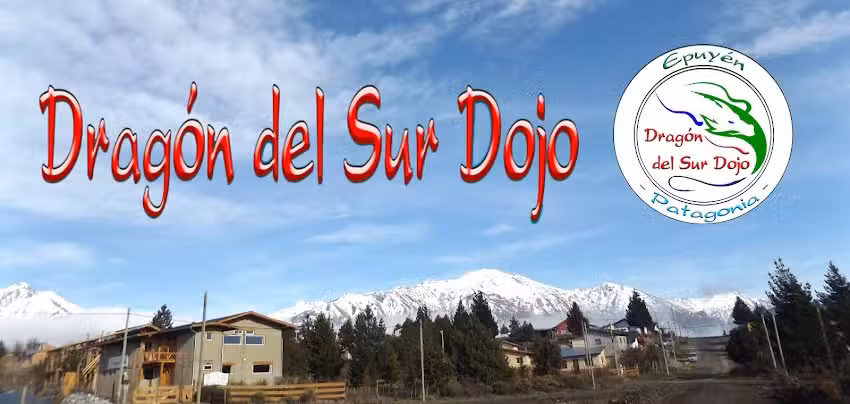 Drag&oacute;n del Sur Dojo &ndash; Aikido / Karatedo / Judo / Defensa &ndash; Artes marciales y Actividades